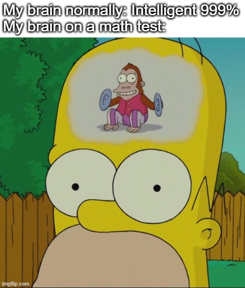 Sadly | My brain normally: Intelligent 999%
My brain on a math test: | image tagged in homer monkey,math | made w/ Imgflip meme maker