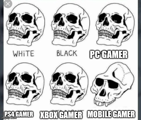White Black Asian Gay Straight skull template | PC GAMER; MOBILE GAMER; XBOX GAMER; PS4 GAMER | image tagged in white black asian gay straight skull template | made w/ Imgflip meme maker