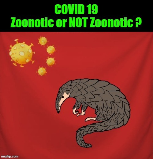 COVID 19 - zoonotic or NOT zoonotic ? | image tagged in covid 19 | made w/ Imgflip meme maker
