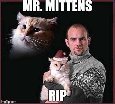 MR. MITTENS RIP | image tagged in mr mittens | made w/ Imgflip meme maker