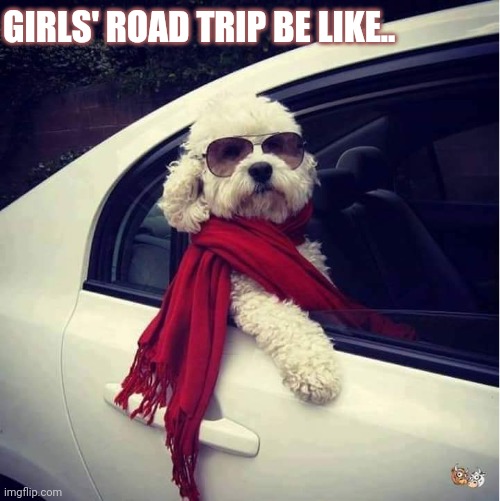Road trip | GIRLS' ROAD TRIP BE LIKE.. | image tagged in girls,roadtrip,roasted,funny memes,offensive | made w/ Imgflip meme maker