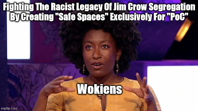 Ancient Wokiens | Fighting The Racist Legacy Of Jim Crow Segregation
By Creating "Safe Spaces" Exclusively For "PoC"; Wokiens | image tagged in ancient wokiens,political memes,woke,social justice,stupid liberals,racism | made w/ Imgflip meme maker