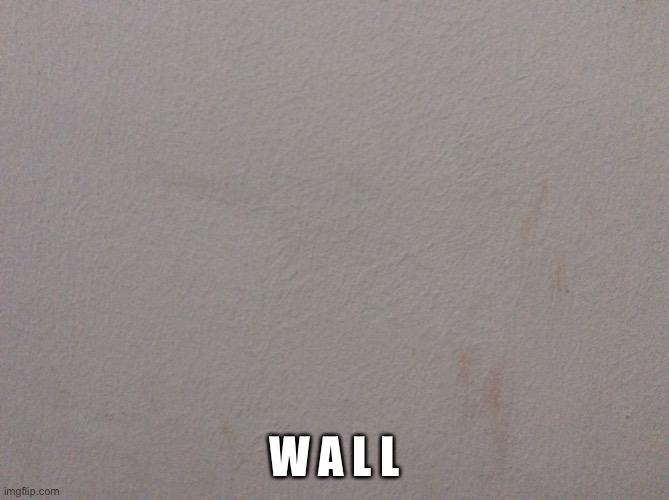 W A L L | made w/ Imgflip meme maker