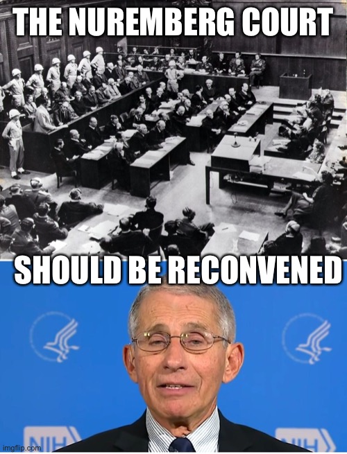 Gain of function research | THE NUREMBERG COURT; SHOULD BE RECONVENED | image tagged in nuremberg trial,dr fauci | made w/ Imgflip meme maker