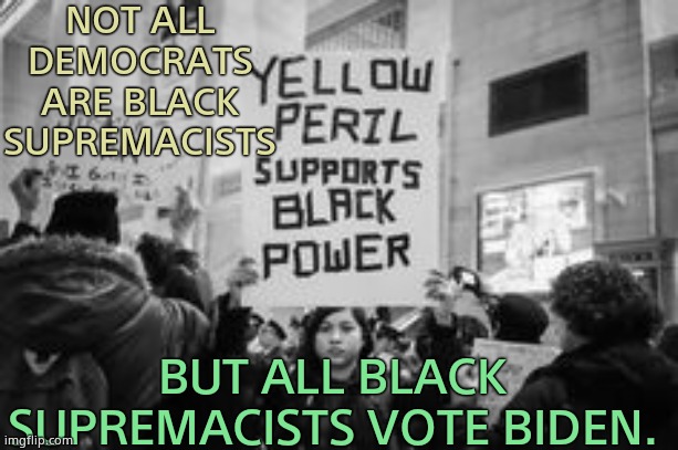 The number one source of terrorist violence in America. | NOT ALL DEMOCRATS ARE BLACK SUPREMACISTS; BUT ALL BLACK SUPREMACISTS VOTE BIDEN. | image tagged in black privilege meme- asians support black supremacy,biden tongues children | made w/ Imgflip meme maker