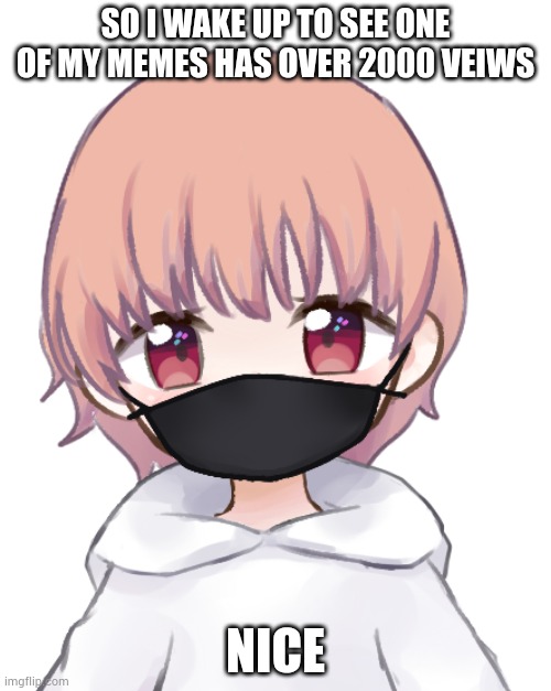 Bryce picrew | SO I WAKE UP TO SEE ONE OF MY MEMES HAS OVER 2000 VEIWS; NICE | image tagged in bryce picrew | made w/ Imgflip meme maker