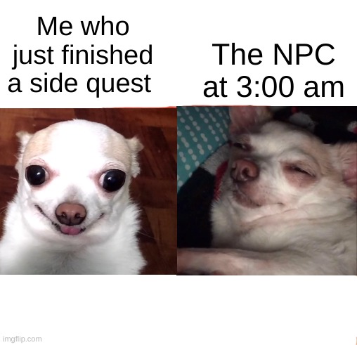 Batman Slapping Robin Meme | Me who just finished a side quest; The NPC at 3:00 am | image tagged in memes,dog,funny,video games | made w/ Imgflip meme maker