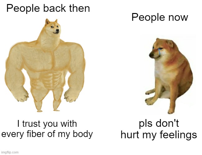 Socialising: | People back then; People now; I trust you with every fiber of my body; pls don't hurt my feelings | image tagged in memes,buff doge vs cheems | made w/ Imgflip meme maker