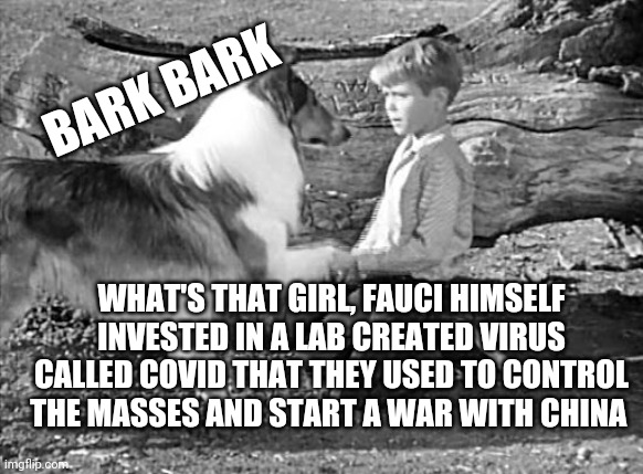 Politics and stuff | BARK BARK; WHAT'S THAT GIRL, FAUCI HIMSELF INVESTED IN A LAB CREATED VIRUS CALLED COVID THAT THEY USED TO CONTROL THE MASSES AND START A WAR WITH CHINA | image tagged in funny memes | made w/ Imgflip meme maker