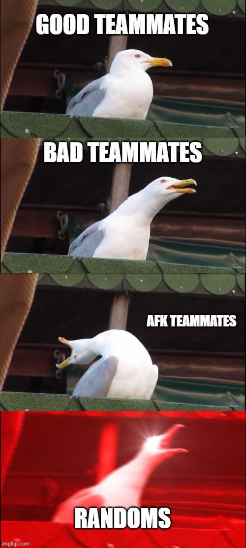 teammates | GOOD TEAMMATES; BAD TEAMMATES; AFK TEAMMATES; RANDOMS | image tagged in memes,inhaling seagull | made w/ Imgflip meme maker