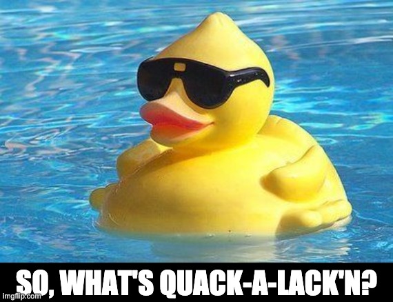 Cool Duck | SO, WHAT'S QUACK-A-LACK'N? | image tagged in cool as duck | made w/ Imgflip meme maker