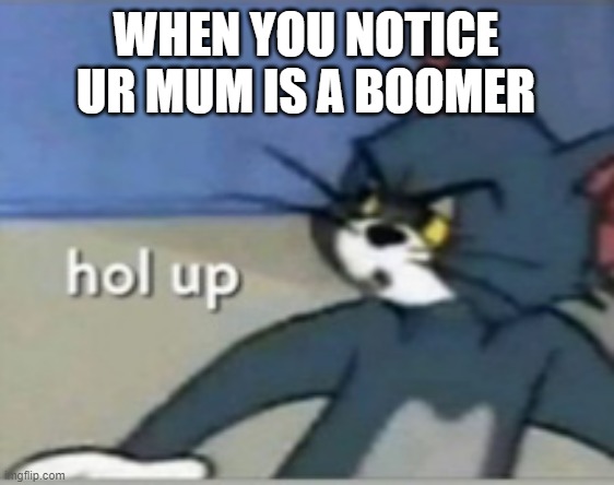 Hol up | WHEN YOU NOTICE UR MUM IS A BOOMER | image tagged in hol up | made w/ Imgflip meme maker