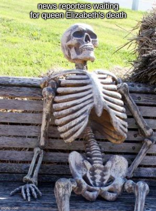 THE QUEEN WILL NEVER DIE!!!!!!!!!!!!!! | news reporters waiting for queen Elizabeth's death | image tagged in memes,waiting skeleton | made w/ Imgflip meme maker
