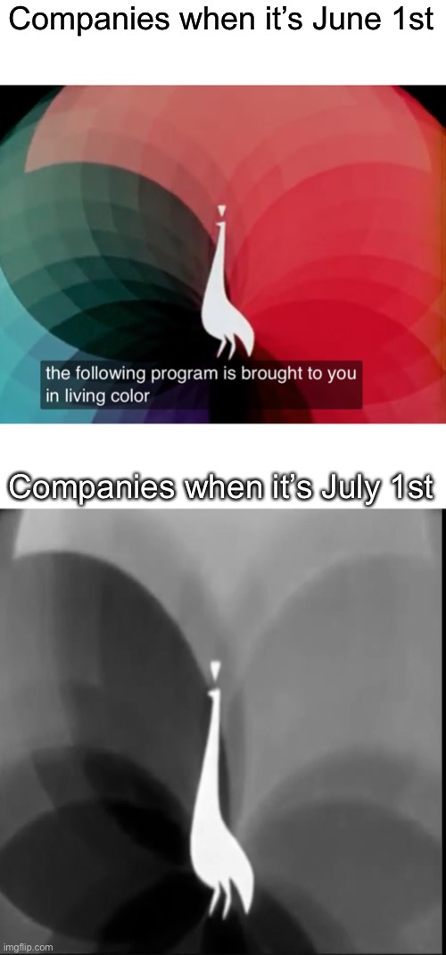  Companies when it’s June 1st; Companies when it’s July 1st | image tagged in pride month,nbc,nbc peacock,living color,black and white,memes | made w/ Imgflip meme maker