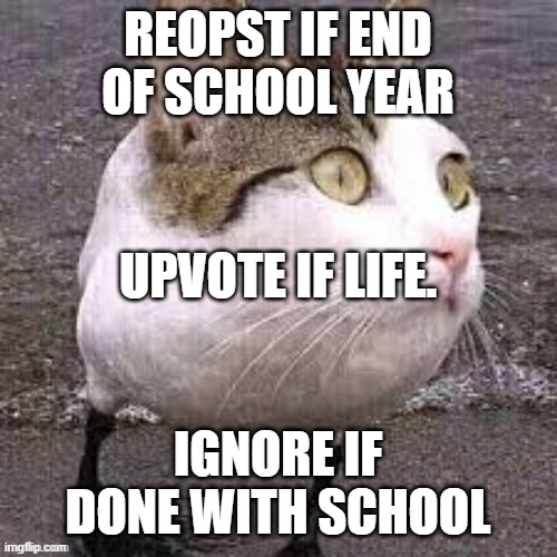 GOOD MORNIN | REOPST IF END OF SCHOOL YEAR; UPVOTE IF LIFE. IGNORE IF DONE WITH SCHOOL | made w/ Imgflip meme maker