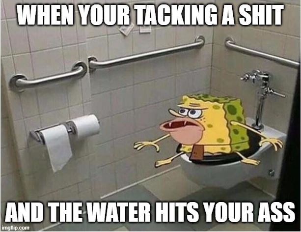 Spongebob Caveman Bathroom | WHEN YOUR TACKING A SHIT; AND THE WATER HITS YOUR ASS | image tagged in spongebob caveman bathroom | made w/ Imgflip meme maker