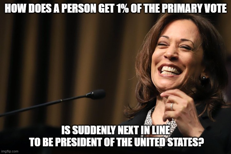 How does a person get 1% of the primary vote and is suddenly next in line to be president of the United States? | HOW DOES A PERSON GET 1% OF THE PRIMARY VOTE; IS SUDDENLY NEXT IN LINE
 TO BE PRESIDENT OF THE UNITED STATES? | image tagged in kamala harris,vp harris,kamala | made w/ Imgflip meme maker