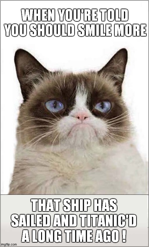 Smile Grumpy ! | WHEN YOU'RE TOLD YOU SHOULD SMILE MORE; THAT SHIP HAS SAILED AND TITANIC'D A LONG TIME AGO ! | image tagged in grumpy cat,smile,cats | made w/ Imgflip meme maker