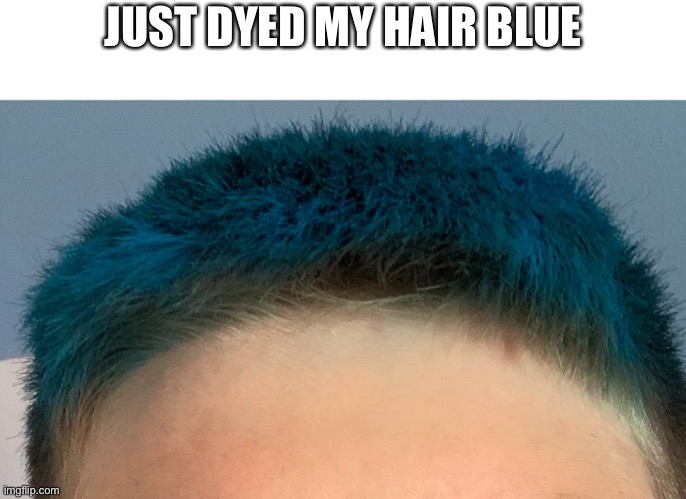 I will have to change it back to brown when school starts | JUST DYED MY HAIR BLUE | image tagged in blue,hair | made w/ Imgflip meme maker