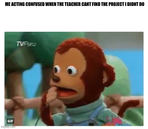 what?? you cant find it? | ME ACTING CONFUSED WHEN THE TEACHER CANT FIND THE PROJECT I DIDNT DO | image tagged in shocked monkey puppet | made w/ Imgflip meme maker