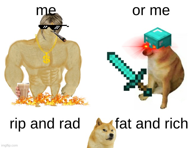 challenge | me; or me; rip and rad; fat and rich | image tagged in memes,buff doge vs cheems | made w/ Imgflip meme maker
