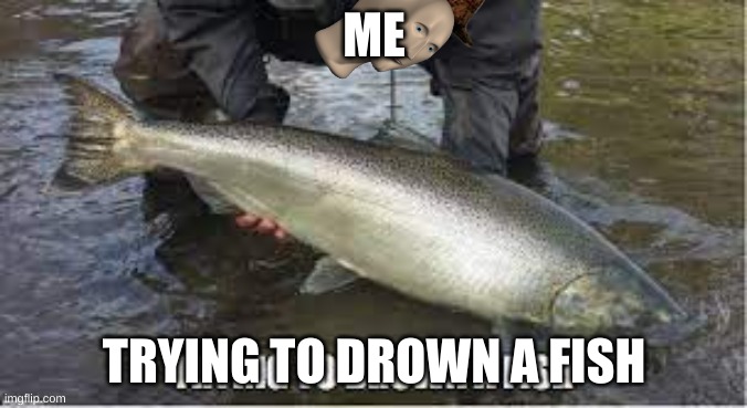 fish | ME; TRYING TO DROWN A FISH | image tagged in fish | made w/ Imgflip meme maker