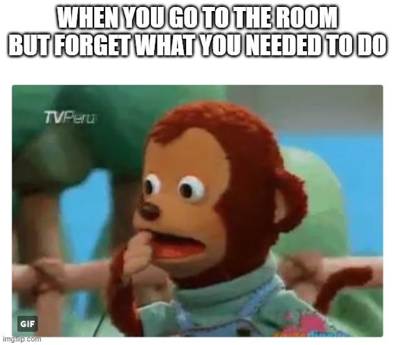 Shocked monkey puppet | WHEN YOU GO TO THE ROOM BUT FORGET WHAT YOU NEEDED TO DO | image tagged in shocked monkey puppet | made w/ Imgflip meme maker