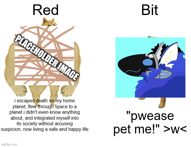 basically yes | Red; Bit; PLACEHOLDER IMAGE; i escaped death on my home planet, flew through space to a planet i didn't even know anything about, and integrated myself into its society without arousing suspicion, now living a safe and happy life; "pwease pet me!" >w< | image tagged in memes,buff doge vs cheems | made w/ Imgflip meme maker