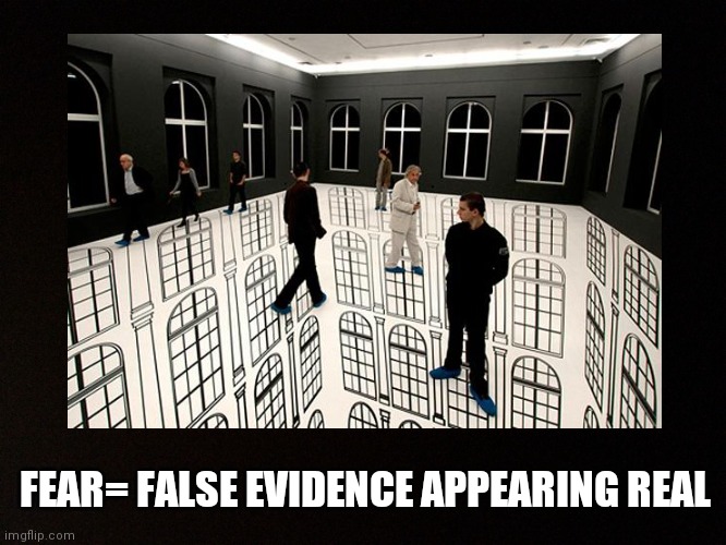 F E A R | FEAR= FALSE EVIDENCE APPEARING REAL | image tagged in fear,false evidence,optical illusion,scary,fun,anxiety | made w/ Imgflip meme maker