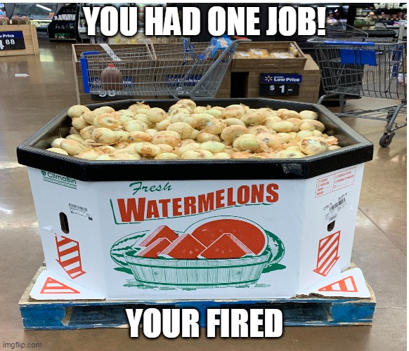 wait a minute watermelons are veggies? | YOU HAD ONE JOB! YOUR FIRED | image tagged in funny memes,lol so funny,haha,crappy designs,you had one job | made w/ Imgflip meme maker