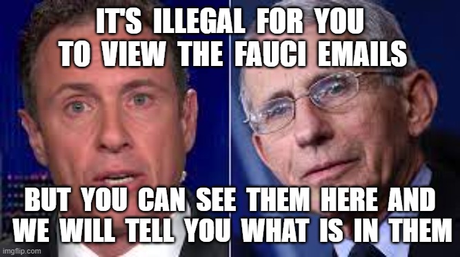 IT'S  ILLEGAL  FOR  YOU  TO  VIEW  THE  FAUCI  EMAILS; BUT  YOU  CAN  SEE  THEM  HERE  AND  WE  WILL  TELL  YOU  WHAT  IS  IN  THEM | image tagged in dr fauci,cnn,fake news,chris cuomo,plandemic | made w/ Imgflip meme maker