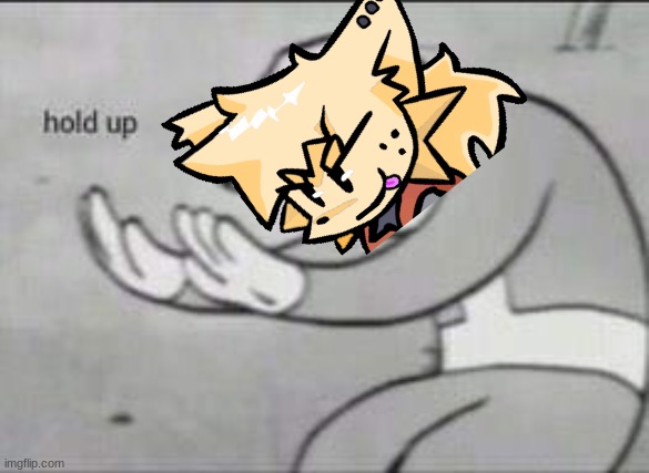 Fallout Hold Up | image tagged in fallout hold up | made w/ Imgflip meme maker