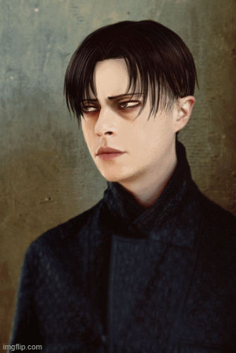 Levi hairstyle