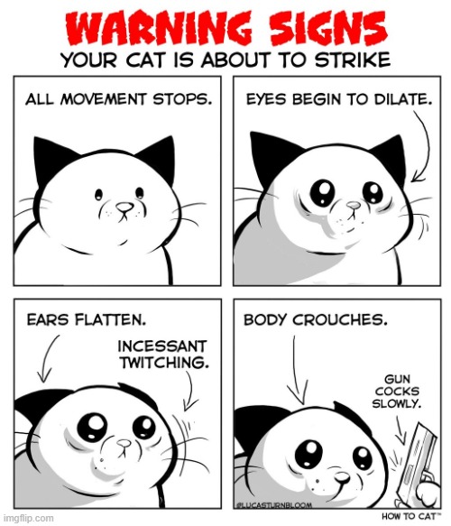 cat about to strike comic | image tagged in cat about to strike comic,cat,lol | made w/ Imgflip meme maker