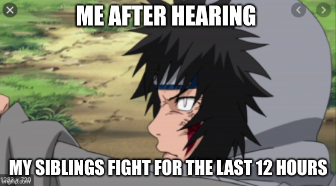 ME AFTER HEARING; MY SIBLINGS FIGHT FOR THE LAST 12 HOURS | image tagged in kiba | made w/ Imgflip meme maker