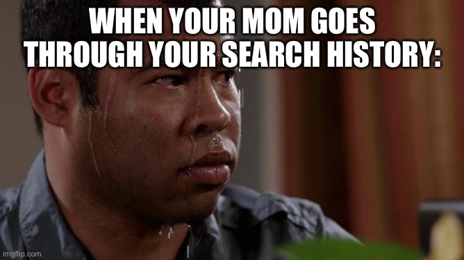Mom going through your history be like: | WHEN YOUR MOM GOES THROUGH YOUR SEARCH HISTORY: | image tagged in sweating bullets | made w/ Imgflip meme maker