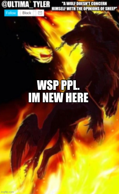WSP PPL. IM NEW HERE | made w/ Imgflip meme maker