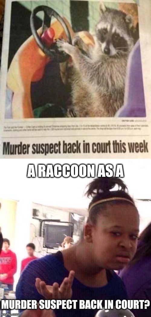 A raccoon, hmmmm | A RACCOON AS A; MURDER SUSPECT BACK IN COURT? | image tagged in memes,black girl wat,funny,raccoon,you had one job just the one,you had one job | made w/ Imgflip meme maker