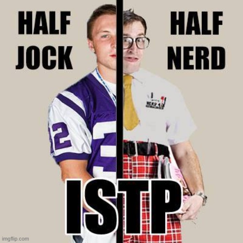ISTP half jock half nerd | image tagged in introvert,introverts | made w/ Imgflip meme maker