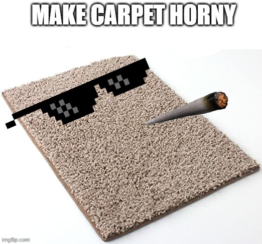 carpet | MAKE CARPET HORNY | image tagged in carpet | made w/ Imgflip meme maker