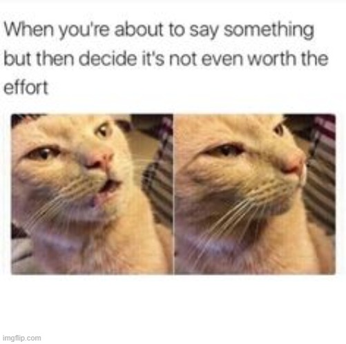 mutism | image tagged in introvert,introverts | made w/ Imgflip meme maker