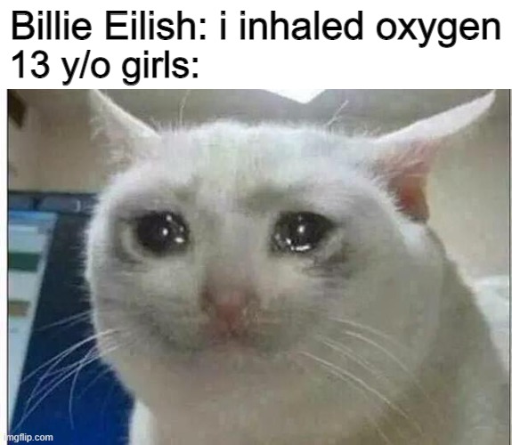 Never gonna give you up never gonna let you down never gonna run around and desert you never gonna make you cry never gonna say  | Billie Eilish: i inhaled oxygen; 13 y/o girls: | image tagged in crying cat,billie eilish | made w/ Imgflip meme maker