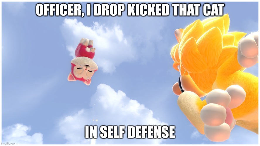 When the cat claws you | OFFICER, I DROP KICKED THAT CAT; IN SELF DEFENSE | image tagged in super mario | made w/ Imgflip meme maker