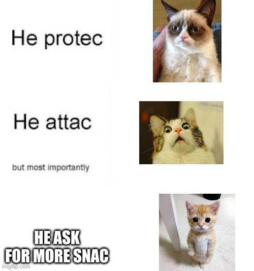 He protec he attac | HE ASK FOR MORE SNAC | image tagged in he protec he attac | made w/ Imgflip meme maker