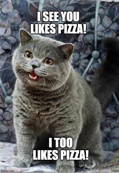 I can has cheezburger cat | I SEE YOU LIKES PIZZA! I TOO LIKES PIZZA! | image tagged in i can has cheezburger cat | made w/ Imgflip meme maker