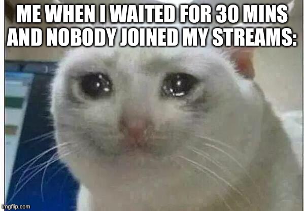 crying cat | ME WHEN I WAITED FOR 30 MINS AND NOBODY JOINED MY STREAMS: | image tagged in crying cat | made w/ Imgflip meme maker