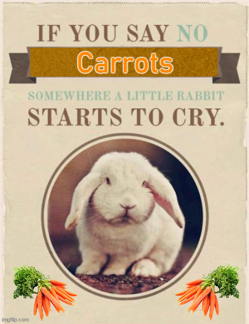 Carrots | image tagged in bunnies | made w/ Imgflip meme maker