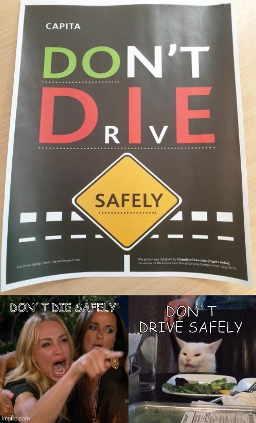 DON´T DIE SAFELY; DON´T DRIVE SAFELY | image tagged in woman yelling at cat | made w/ Imgflip meme maker