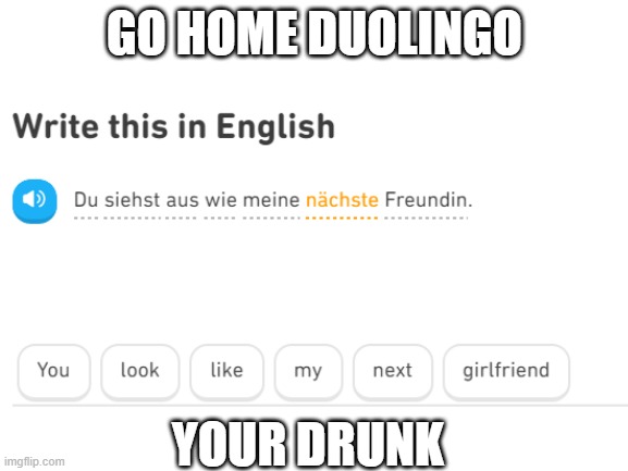 GO HOME DUOLINGO; YOUR DRUNK | image tagged in go home youre drunk,duolingo | made w/ Imgflip meme maker