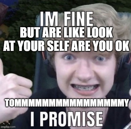 Tommyinnit | BUT ARE LIKE LOOK AT YOUR SELF ARE YOU OK; TOMMMMMMMMMMMMMMMMY | image tagged in tommyinnit | made w/ Imgflip meme maker